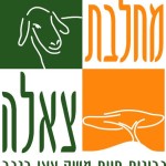 פעילות חנוכה 2013 במחלבת צאלה
