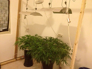 pic11