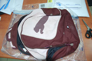 pic3