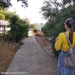 ריטריט | סדנאות ריטריט | סדנאות ריטריט בצפון